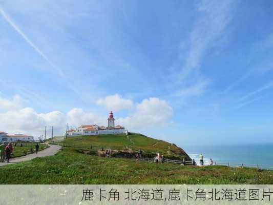 鹿卡角 北海道,鹿卡角北海道图片