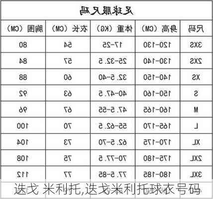 迭戈 米利托,迭戈米利托球衣号码