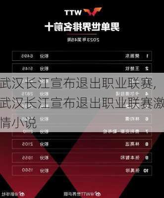 武汉长江宣布退出职业联赛,武汉长江宣布退出职业联赛激情小说