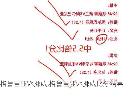 格鲁吉亚Vs挪威,格鲁吉亚vs挪威比分结果