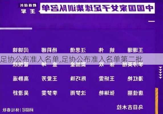 足协公布准入名单,足协公布准入名单第二批