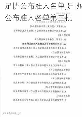 足协公布准入名单,足协公布准入名单第二批