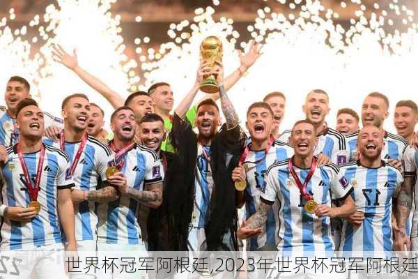 世界杯冠军阿根廷,2023年世界杯冠军阿根廷