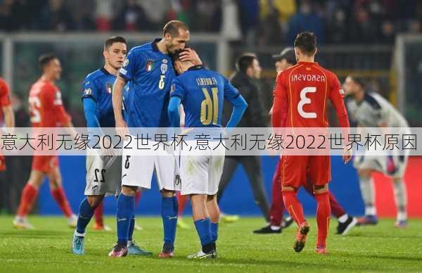 意大利无缘2022世界杯,意大利无缘2022世界杯原因