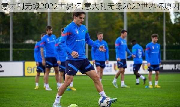 意大利无缘2022世界杯,意大利无缘2022世界杯原因