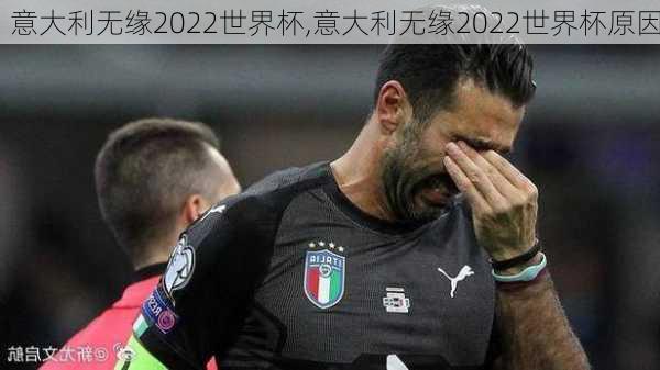 意大利无缘2022世界杯,意大利无缘2022世界杯原因