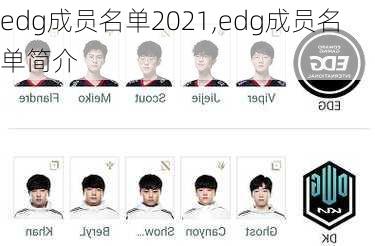 edg成员名单2021,edg成员名单简介