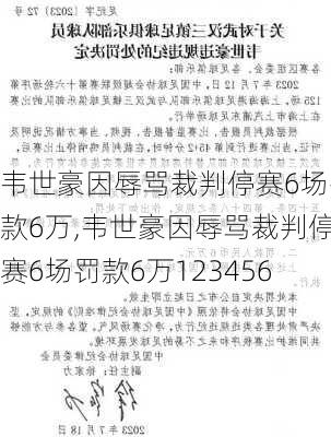 韦世豪因辱骂裁判停赛6场罚款6万,韦世豪因辱骂裁判停赛6场罚款6万123456