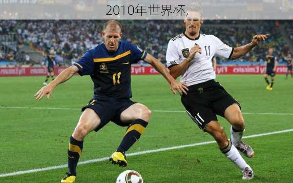 2010年世界杯,